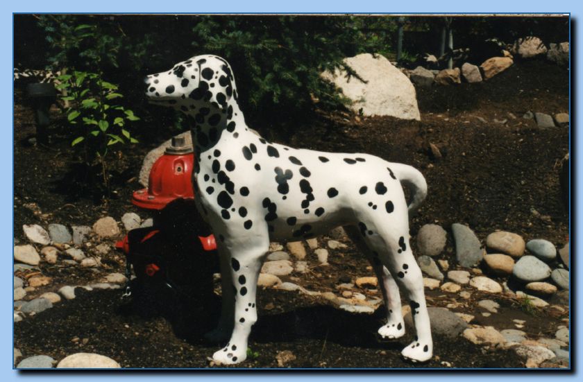 1-69 dog-dalmation